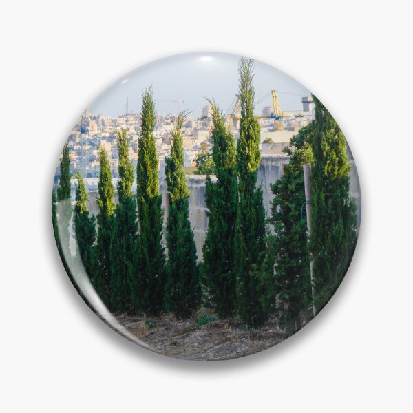 Item preview, Row Of Young Cypress Trees Along Stone Wall Overlooking Mediterranean Harbor And Historic Cityscape designed and sold by Nmallia.
