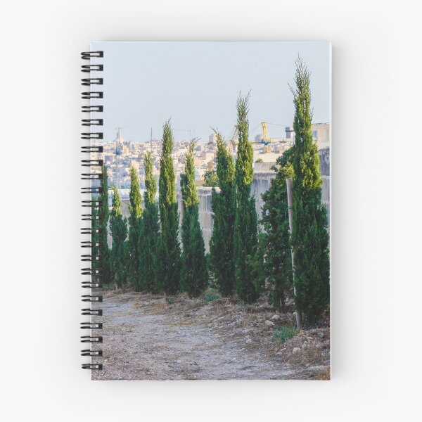 Item preview, Row Of Young Cypress Trees Along Stone Wall Overlooking Mediterranean Harbor And Historic Cityscape designed and sold by Nmallia.