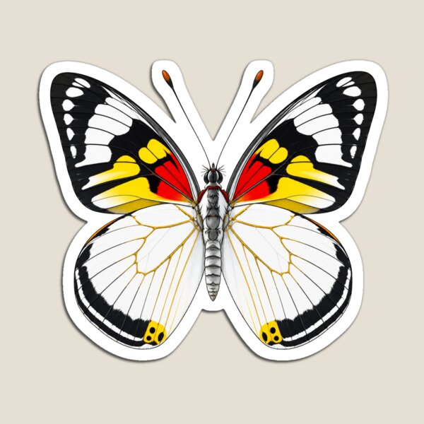 Item preview, Common Jezebel Delias eucharis Cartoon Style designed and sold by Harpagann.