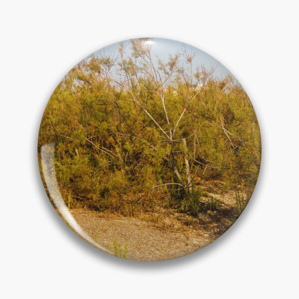 Item preview, Dry Coastal Shrubland With Sandy Path and Golden Shrubs in Summer Light designed and sold by Nmallia.
