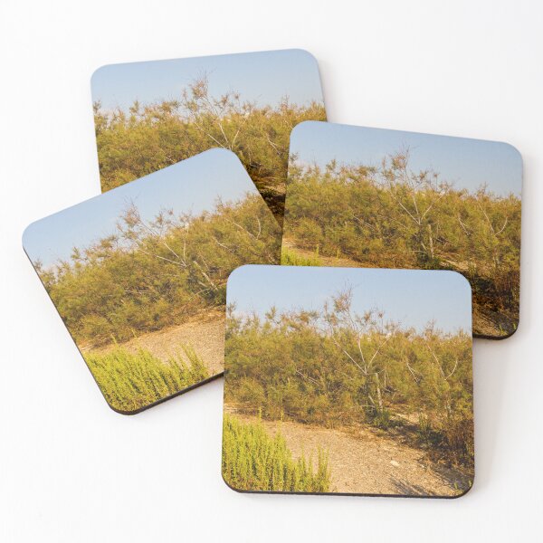 Item preview, Dry Coastal Shrubland With Sandy Path and Golden Shrubs in Summer Light designed and sold by Nmallia.
