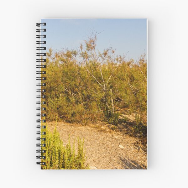 Item preview, Dry Coastal Shrubland With Sandy Path and Golden Shrubs in Summer Light designed and sold by Nmallia.