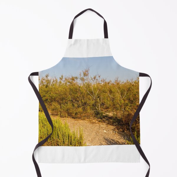 Item preview, Dry Coastal Shrubland With Sandy Path and Golden Shrubs in Summer Light designed and sold by Nmallia.