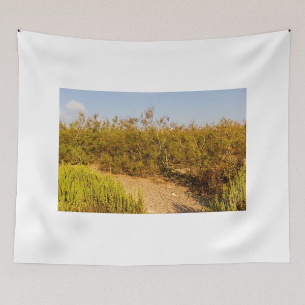 Item preview, Dry Coastal Shrubland With Sandy Path and Golden Shrubs in Summer Light designed and sold by Nmallia.
