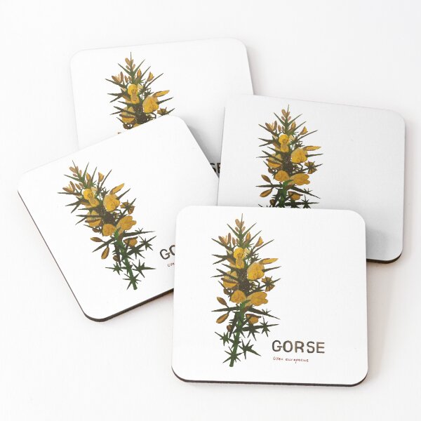 Item preview, Gorse - Ulex europaeus designed and sold by kindbotanicals.