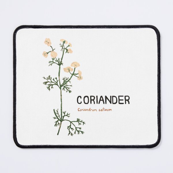 Item preview, Coriander - Coriandrum sativum designed and sold by kindbotanicals.