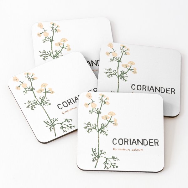 Item preview, Coriander - Coriandrum sativum designed and sold by kindbotanicals.
