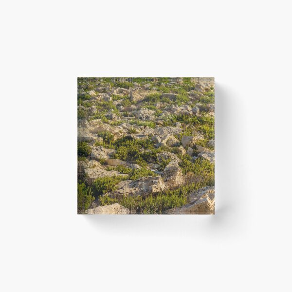 Item preview, Rocky Coastal Terrain With Low Green Shrubs and Sunlit Limestone Boulders designed and sold by Nmallia.