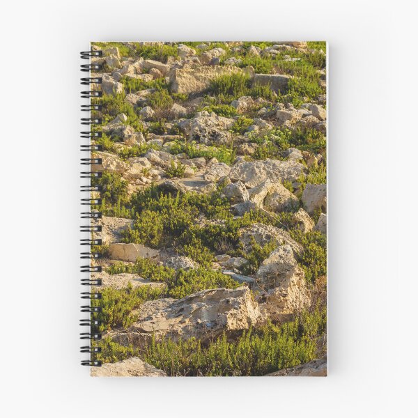 Item preview, Rocky Coastal Terrain With Low Green Shrubs and Sunlit Limestone Boulders designed and sold by Nmallia.