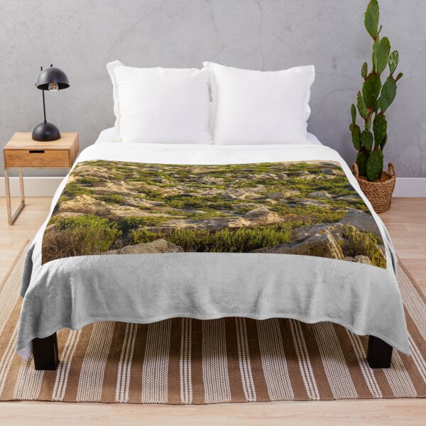 Item preview, Rocky Coastal Terrain With Low Green Shrubs and Sunlit Limestone Boulders designed and sold by Nmallia.