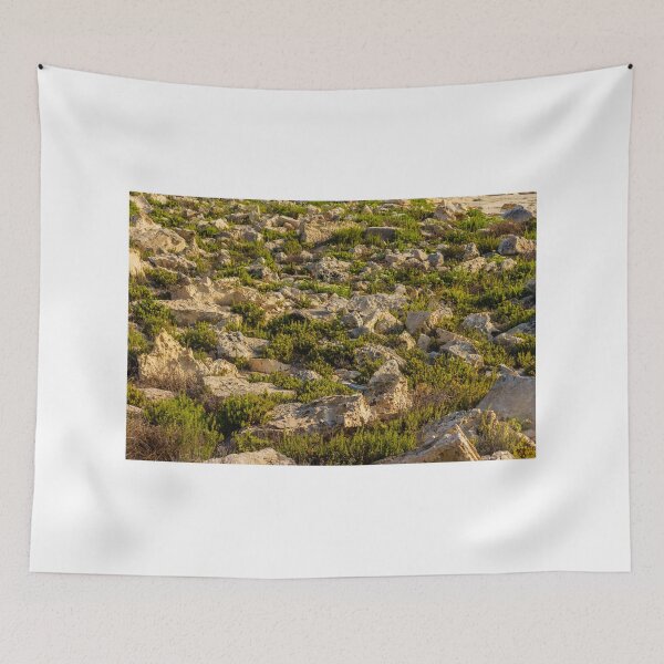 Item preview, Rocky Coastal Terrain With Low Green Shrubs and Sunlit Limestone Boulders designed and sold by Nmallia.