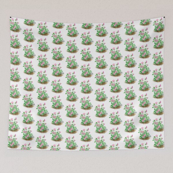 Item preview, July 27th birthday flower Wild Geranium designed and sold by 366birthflower.