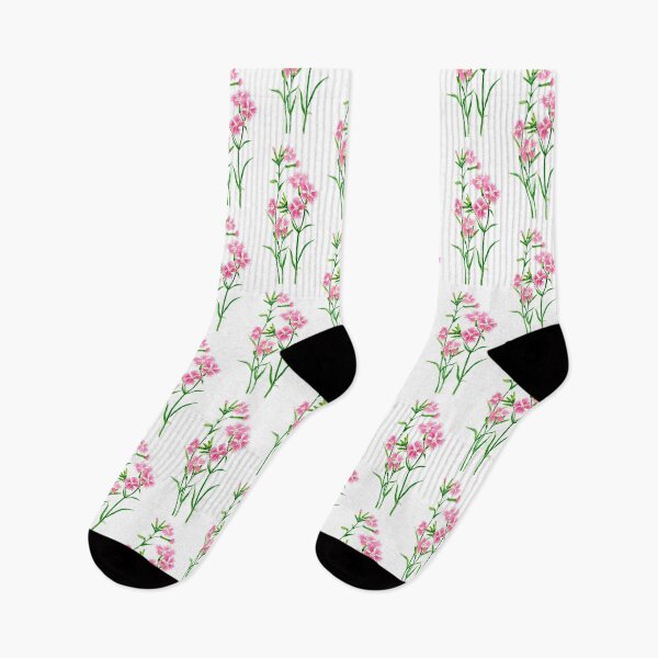Item preview, July 28th birthday flower Dianthus superbus designed and sold by 366birthflower.