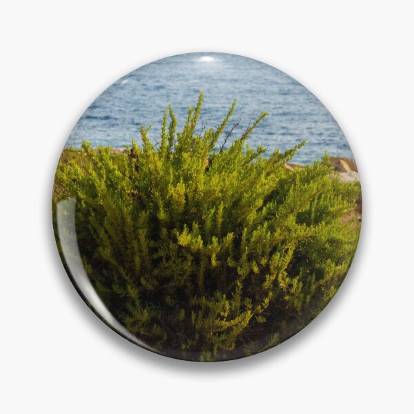 Item preview, Coastal Shrub On Rocky Cliff Overlooking Calm Blue Sea On Sunny Summer Day designed and sold by Nmallia.
