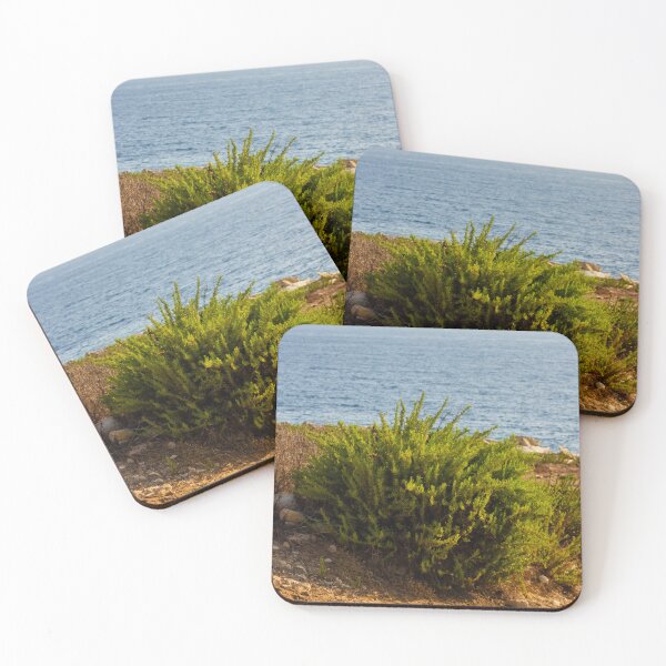Item preview, Coastal Shrub On Rocky Cliff Overlooking Calm Blue Sea On Sunny Summer Day designed and sold by Nmallia.