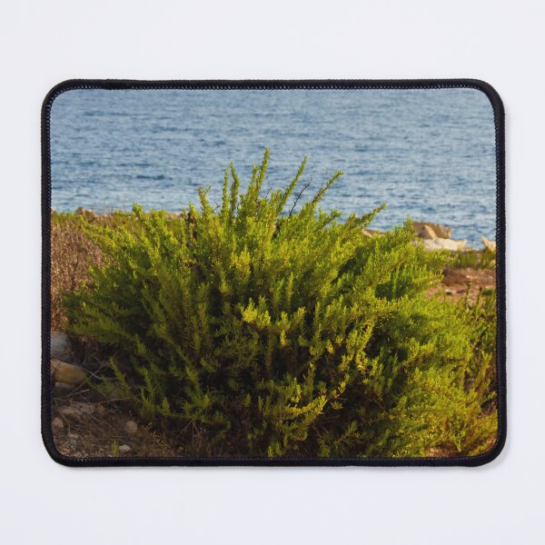 Item preview, Coastal Shrub On Rocky Cliff Overlooking Calm Blue Sea On Sunny Summer Day designed and sold by Nmallia.