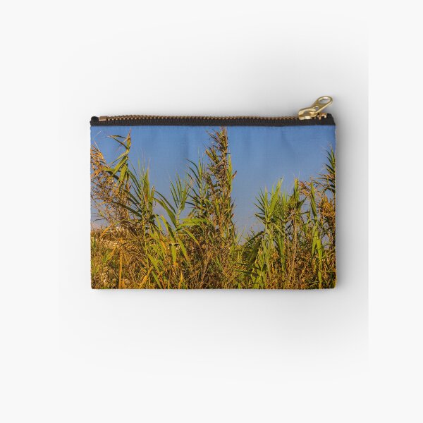 Item preview, Sunlit Dry Reeds and Tall Grass in Golden Marsh Landscape designed and sold by Nmallia.