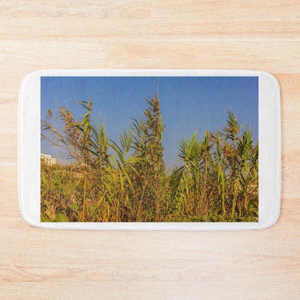 Item preview, Sunlit Dry Reeds and Tall Grass in Golden Marsh Landscape designed and sold by Nmallia.