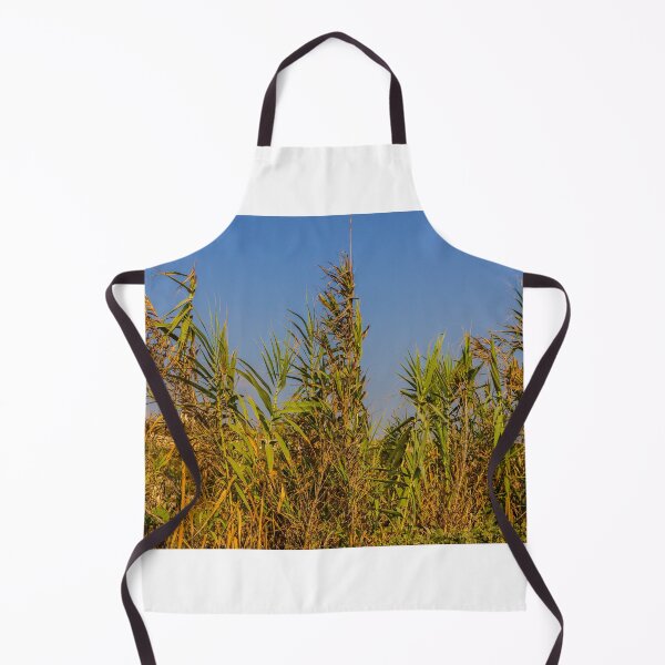 Item preview, Sunlit Dry Reeds and Tall Grass in Golden Marsh Landscape designed and sold by Nmallia.