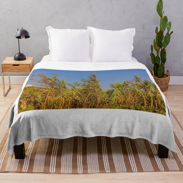 Item preview, Sunlit Dry Reeds and Tall Grass in Golden Marsh Landscape designed and sold by Nmallia.