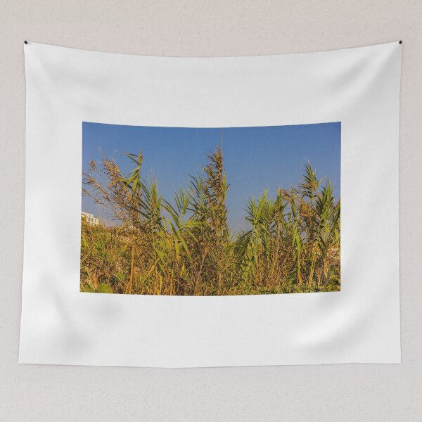 Item preview, Sunlit Dry Reeds and Tall Grass in Golden Marsh Landscape designed and sold by Nmallia.