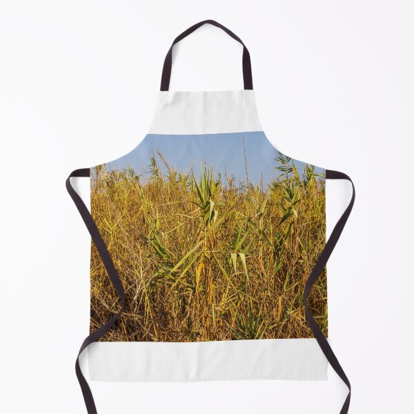 Item preview, Sunlit Dry Reeds and Tall Grass in Golden Marsh Landscape designed and sold by Nmallia.