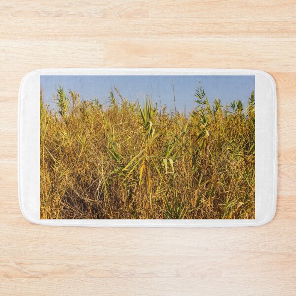 Item preview, Sunlit Dry Reeds and Tall Grass in Golden Marsh Landscape designed and sold by Nmallia.