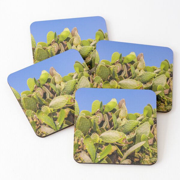 Item preview, Sunlit Prickly Pear Cactus Cluster Against Clear Blue Sky On Rocky Coastal Landscape designed and sold by Nmallia.