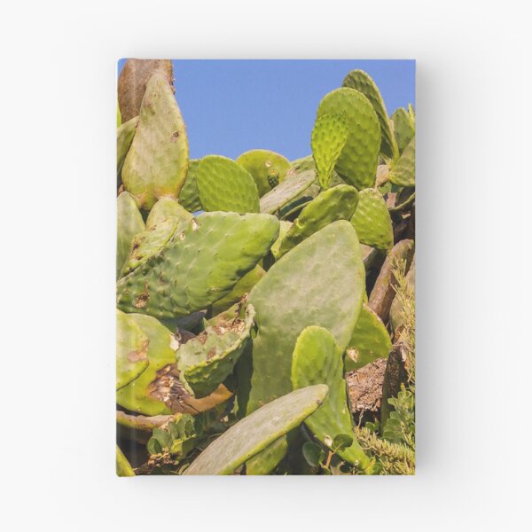 Item preview, Sunlit Prickly Pear Cactus Cluster Against Clear Blue Sky On Rocky Coastal Landscape designed and sold by Nmallia.