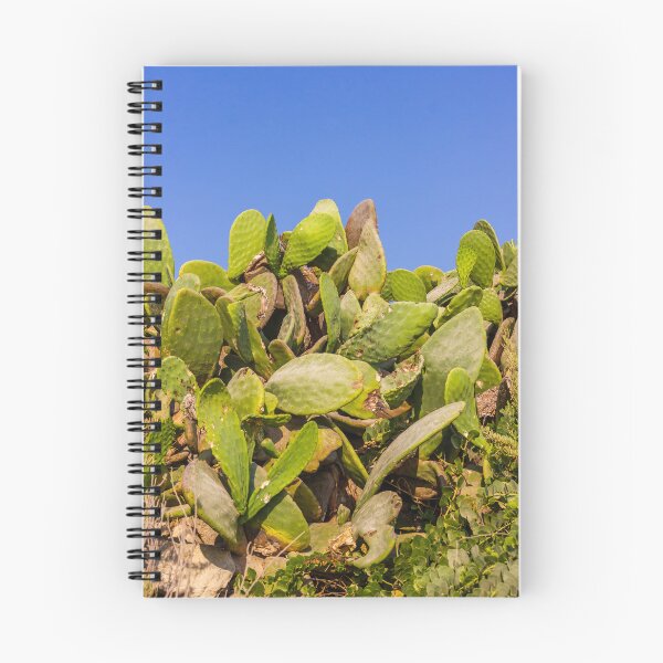 Item preview, Sunlit Prickly Pear Cactus Cluster Against Clear Blue Sky On Rocky Coastal Landscape designed and sold by Nmallia.