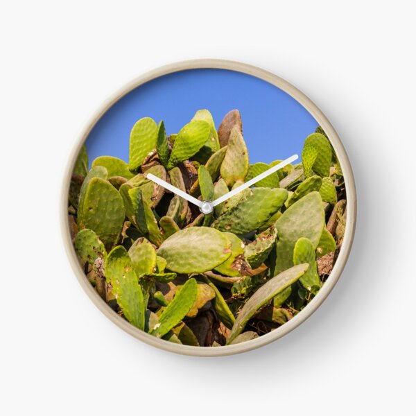 Item preview, Sunlit Prickly Pear Cactus Cluster Against Clear Blue Sky On Rocky Coastal Landscape designed and sold by Nmallia.