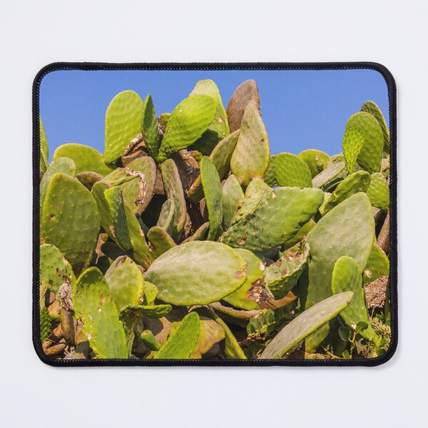 Item preview, Sunlit Prickly Pear Cactus Cluster Against Clear Blue Sky On Rocky Coastal Landscape designed and sold by Nmallia.