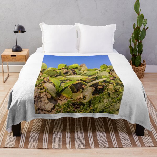 Item preview, Sunlit Prickly Pear Cactus Cluster Against Clear Blue Sky On Rocky Coastal Landscape designed and sold by Nmallia.