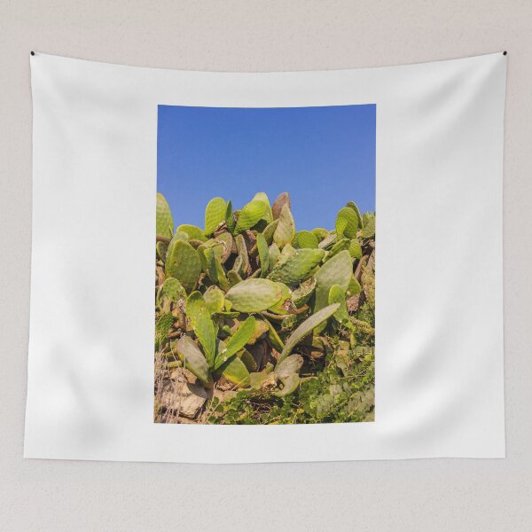 Item preview, Sunlit Prickly Pear Cactus Cluster Against Clear Blue Sky On Rocky Coastal Landscape designed and sold by Nmallia.