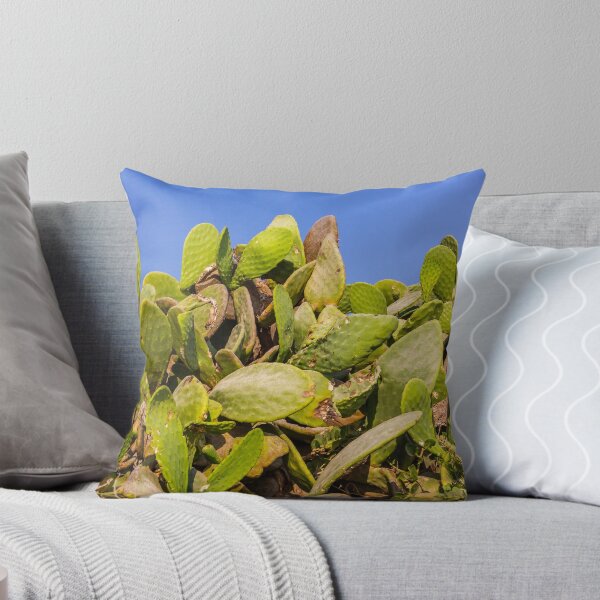 Item preview, Sunlit Prickly Pear Cactus Cluster Against Clear Blue Sky On Rocky Coastal Landscape designed and sold by Nmallia.