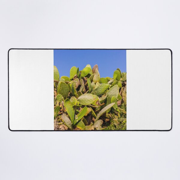 Item preview, Sunlit Prickly Pear Cactus Cluster Against Clear Blue Sky On Rocky Coastal Landscape designed and sold by Nmallia.