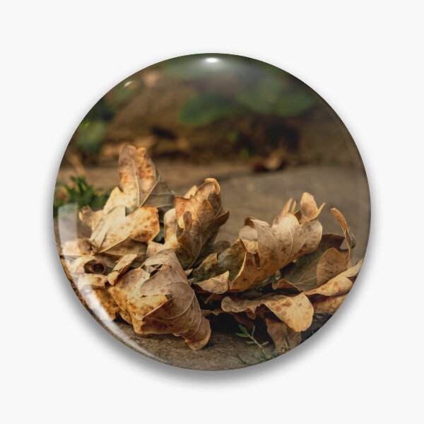 Item preview, Dried Oak Leaves in Golden Light designed and sold by Rabee Khalil Photography.