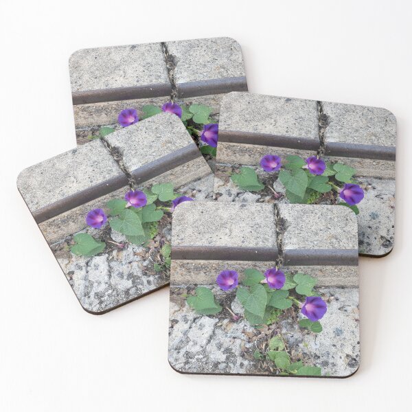 Item preview, Gutter Morning Glory (Horizontal) designed and sold by concretebotany.