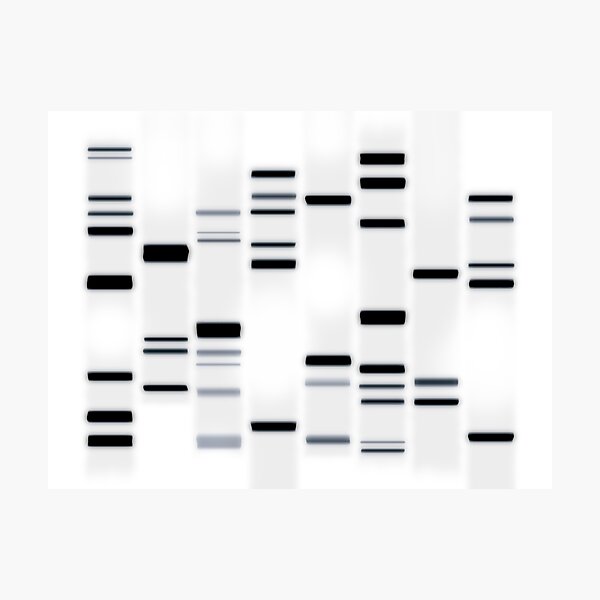 Item preview, DNA Art Black on White designed and sold by ArtPrints.