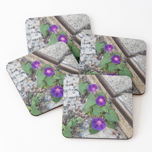 Item preview, Gutter Morning Glory (Diagonal) designed and sold by concretebotany.