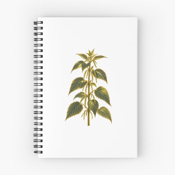 Item preview, Stinging Nettle | Wild Food Foraging Botanical Art | Herbalist Forager Gift designed and sold by Brackenlume Studio.
