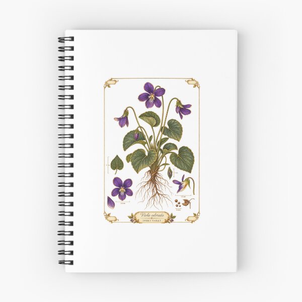 Item preview, Sweet Violet | February Birth Flower Botanical Art | February Birthday Gift designed and sold by Brackenlume Studio.
