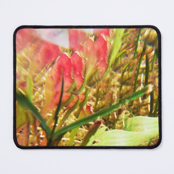 Item preview, Whispering Meadow: Quiet Growth and Serenity designed and sold by ElionSolis.