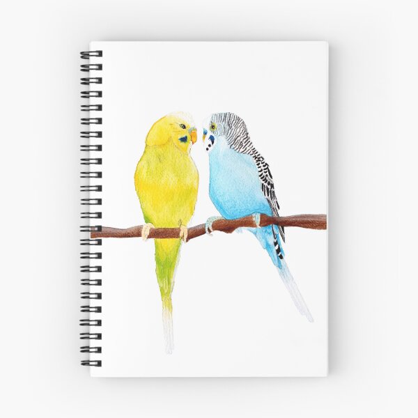 Artikelvorschau, Zwei Wellensittiche (gelb & blau), Aquarell entworfen und verkauft von By Kelly Attenborough.