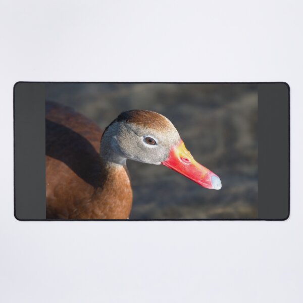 Item preview, Black-bellied Whistling-Duck Close-Up designed and sold by Debra Martz.
