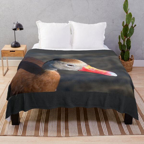Item preview, Black-bellied Whistling-Duck Close-Up designed and sold by Debra Martz.