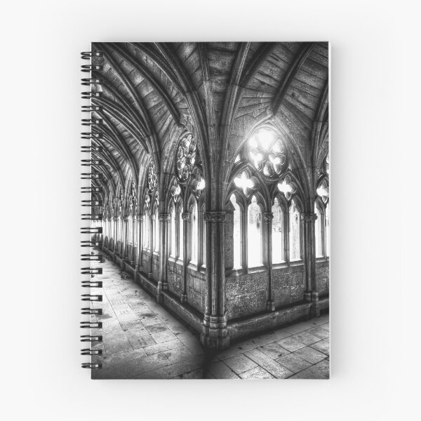Item preview, Lincoln Cathedral Cloisters in Black and White designed and sold by Paul Thompson Photography.