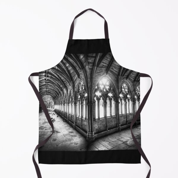 Item preview, Lincoln Cathedral Cloisters in Black and White designed and sold by Paul Thompson Photography.