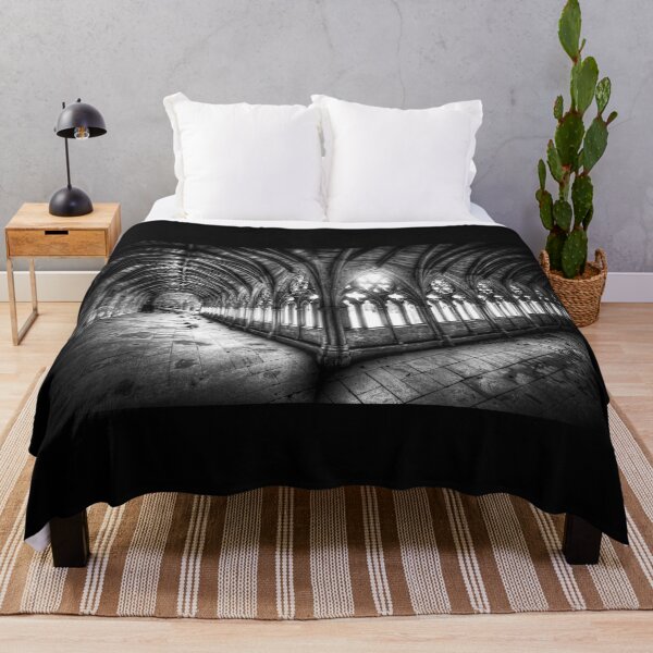 Item preview, Lincoln Cathedral Cloisters in Black and White designed and sold by Paul Thompson Photography.