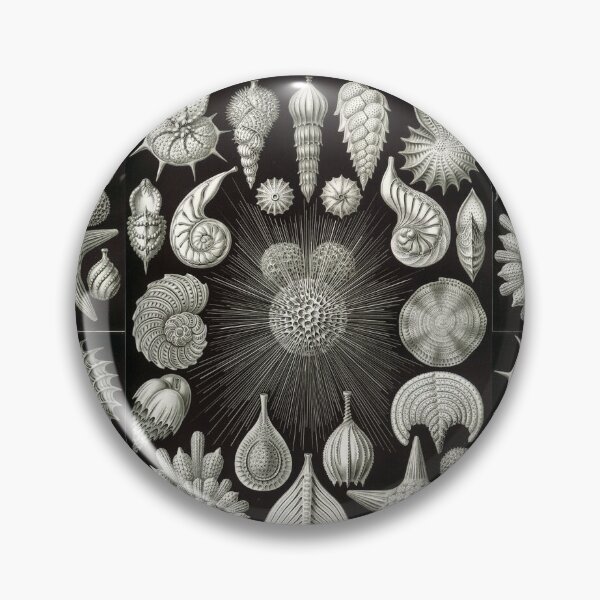 Item preview, Vintage Seashell & Marine Life Illustration – Antique Natural History Coastal Design designed and sold by cheekylorns.